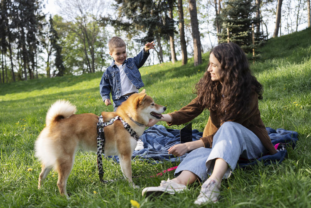 Los perros como parte de la familia: beneficios, responsabilidades y gastos a considerar